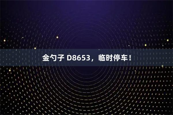 金勺子 D8653,临时停车!