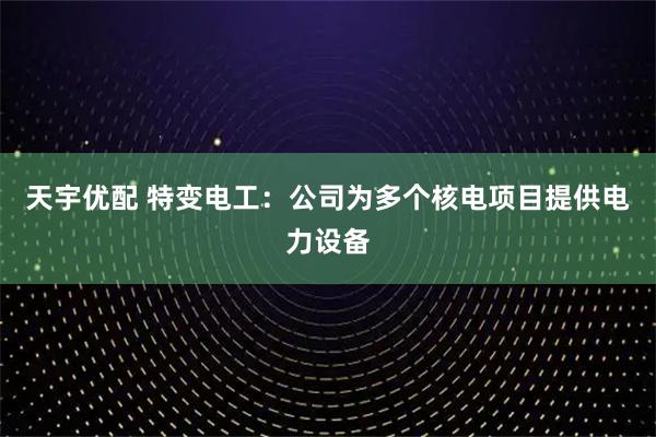 天宇优配 特变电工:公司为多个核电项目提供电力设备