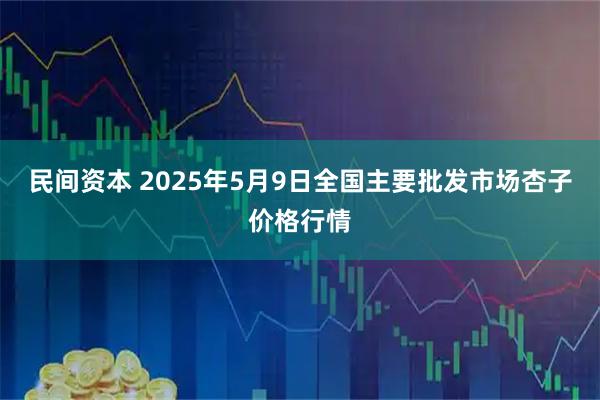 民间资本 2025年5月9日全国主要批发市场杏子价格行情