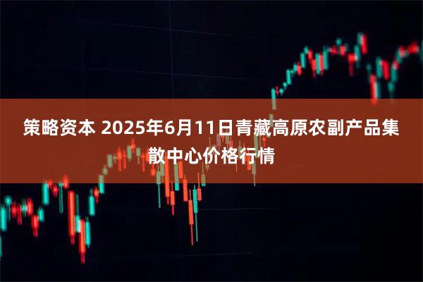策略资本 2025年6月11日青藏高原农副产品集散中心价格行情