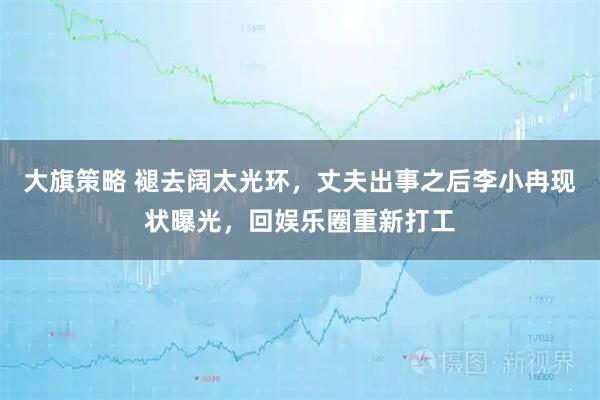 大旗策略 褪去阔太光环,丈夫出事之后李小冉现状曝光,回娱乐圈重新打工